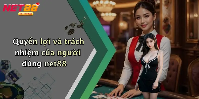 Điều Khoản Và Điều Kiện Quyền lợi và trách nhiệm của người dùng net88