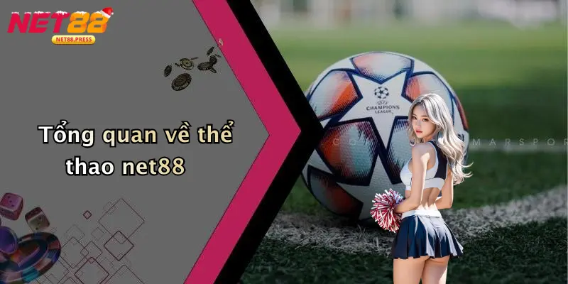 Thể thao net88 Tổng quan về thể thao net88